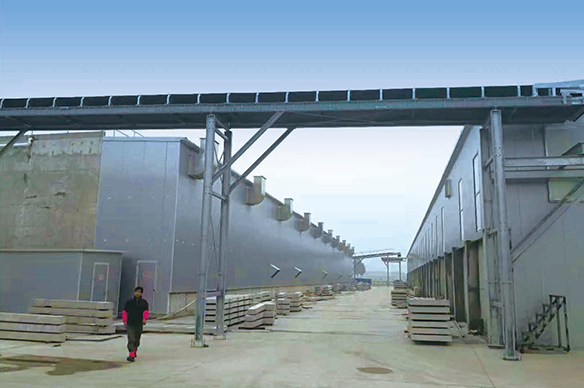 菌菇養(yǎng)殖--安陽眾興育菇房